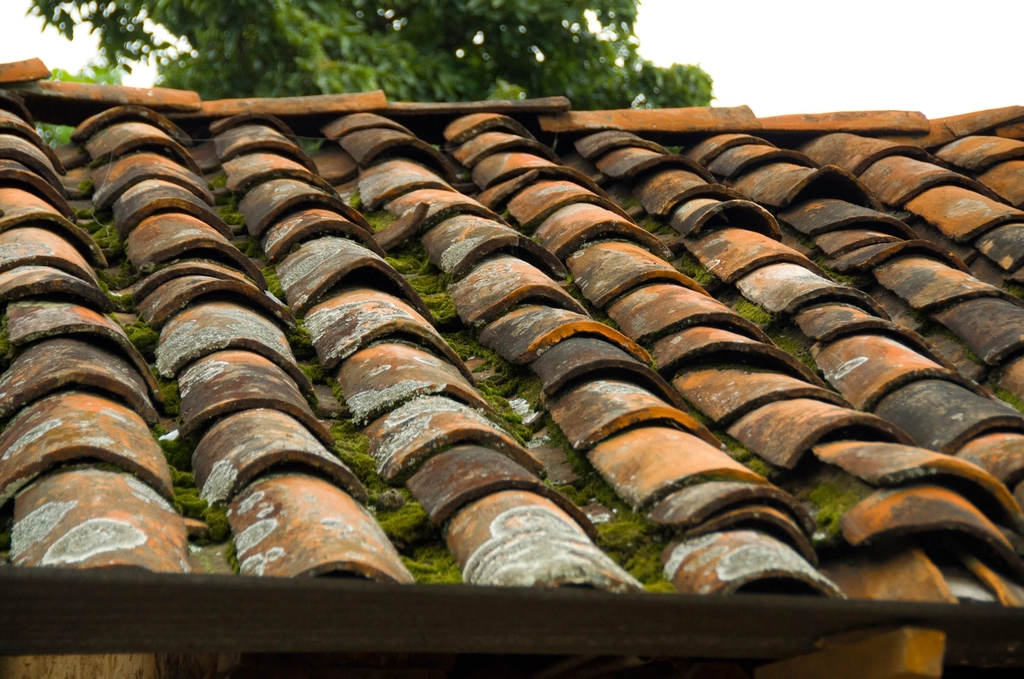 Roof needing repair and re-sealing